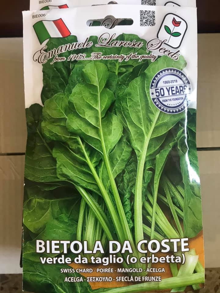 BIETOLA DA COSTE VERDE DA TAGLIOA (O ERBETTA)