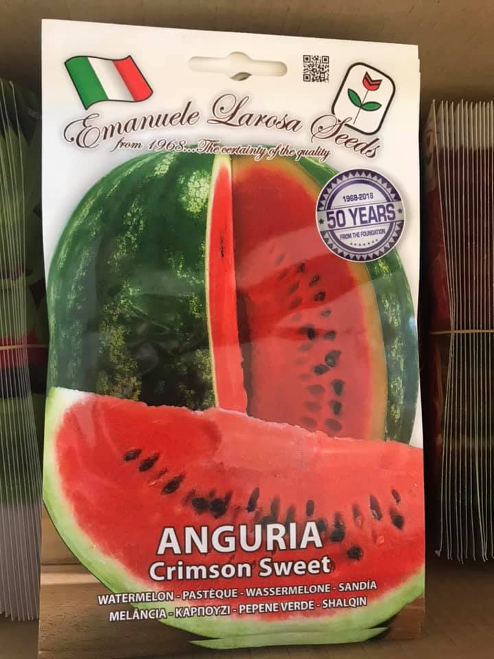 vendita online semi ANGURIA CRIMSON SWEET