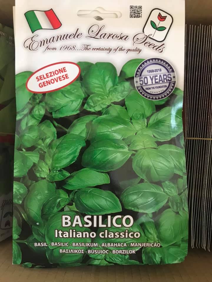 BASILICO ITALIANO CLASSICO