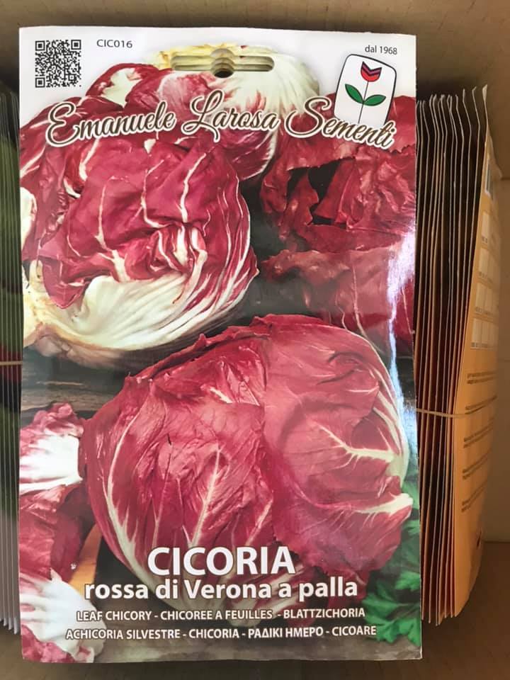 CICORIA ROSSA DI VERONA A PALLA