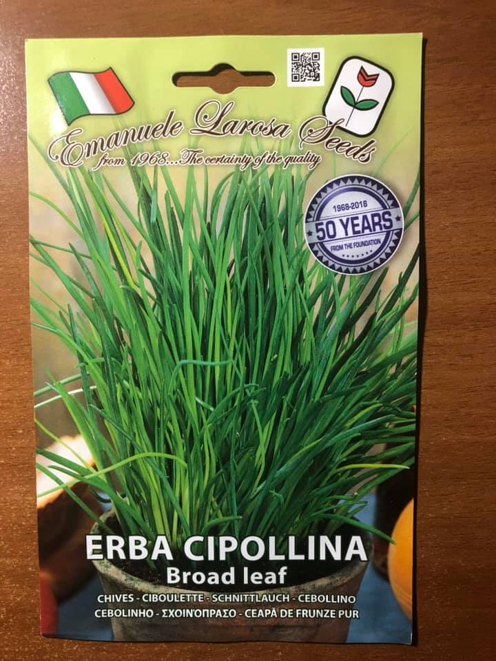 vendita online semi ERBA CIPOLLINA