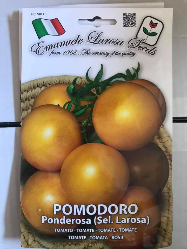 POMODORO PONDEROSA LAROSA