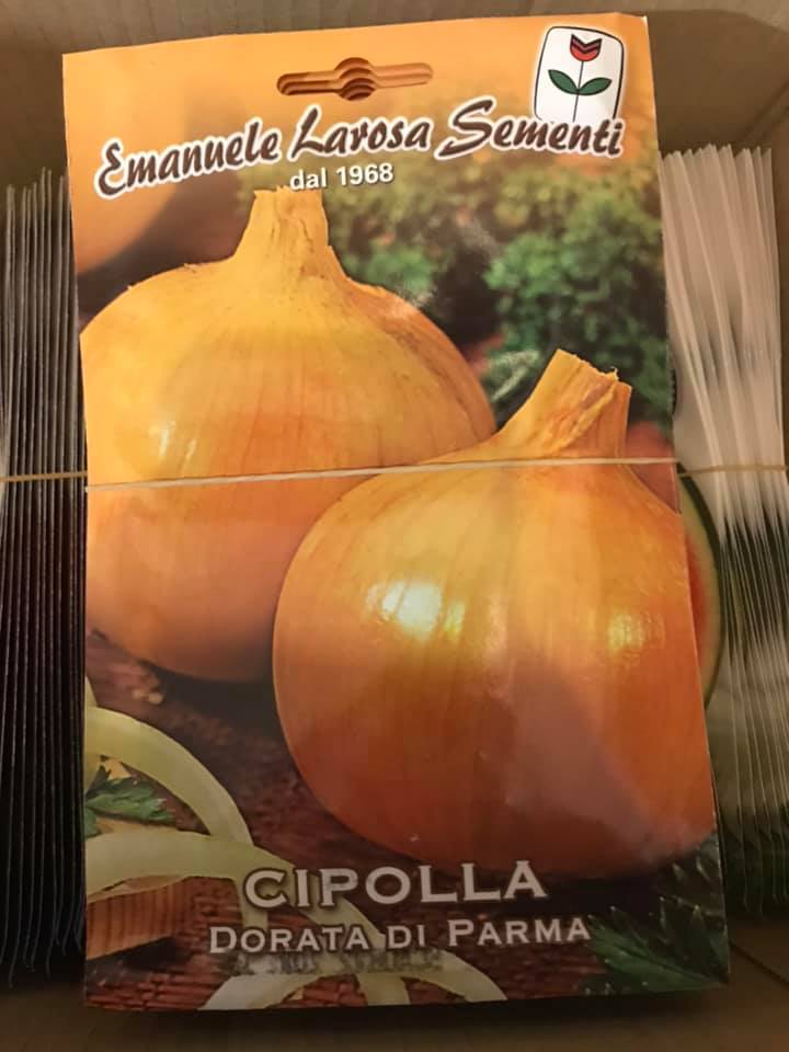 vendita online semi CIPOLLA DORATA DI PARMA