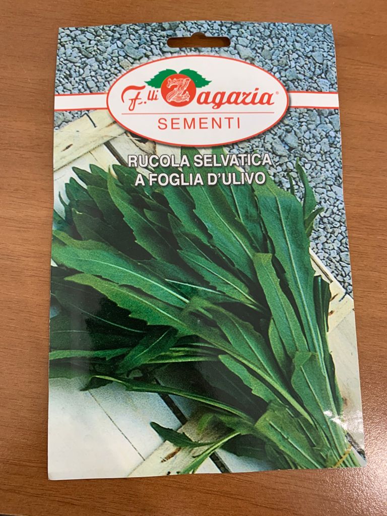 vendita online semi RUCOLA SELVATICA A FOGLIA D'ULIVO