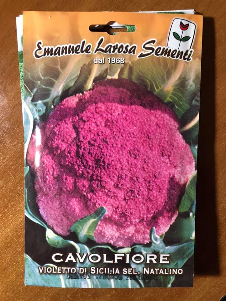 vendita online semi CAVOLFIORE VIOLETTO DI SICILIA SEL. NATALINO