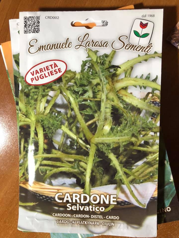 CARDONE SELVATICO