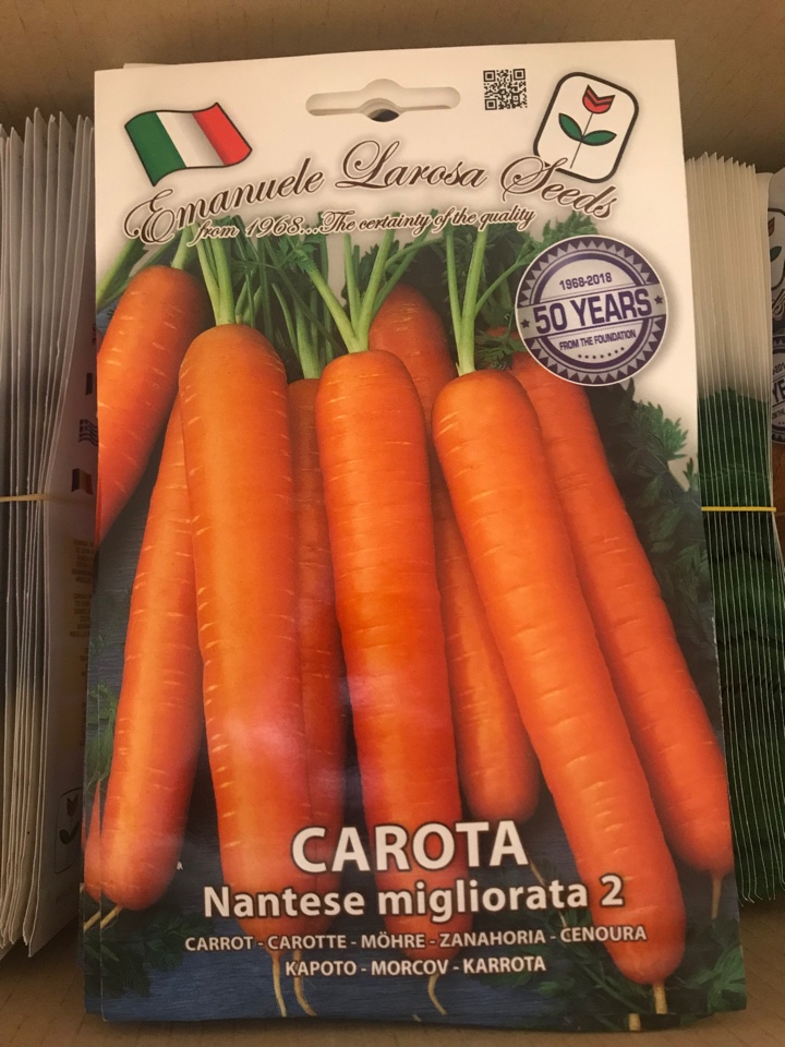 CAROTA NANTESE MIGLIORATA 2