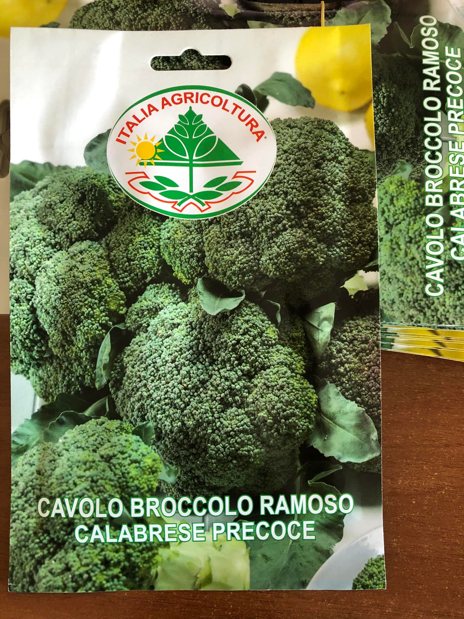 vendita online semi CAVOLO BROCCOLO RAMOSO CALABRESE PRECOCE