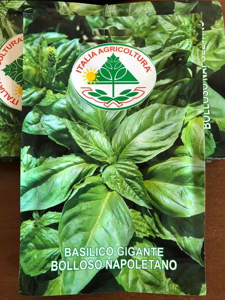 vendita online semi BASILICO GIGANTE BOLLOSO NAPOLETANO