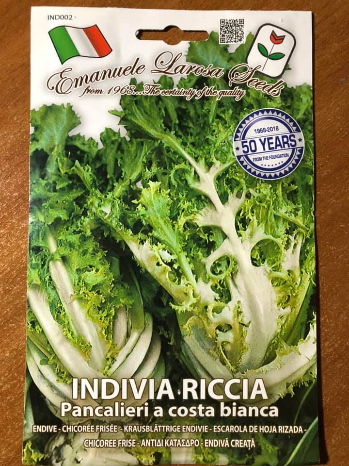 vendita online semi INDIVA RICCIA PANCALIERI A COSTA BIANCA
