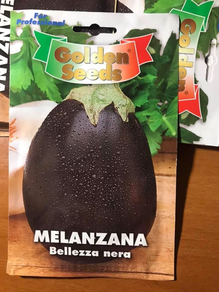 vendita online semi MELANZANA BELLEZZA NERA