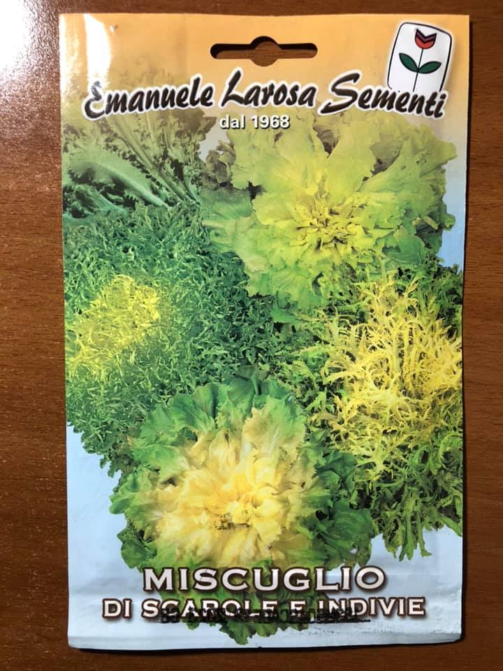 MISCUGLIO DI SCAROLE E INDIVIE