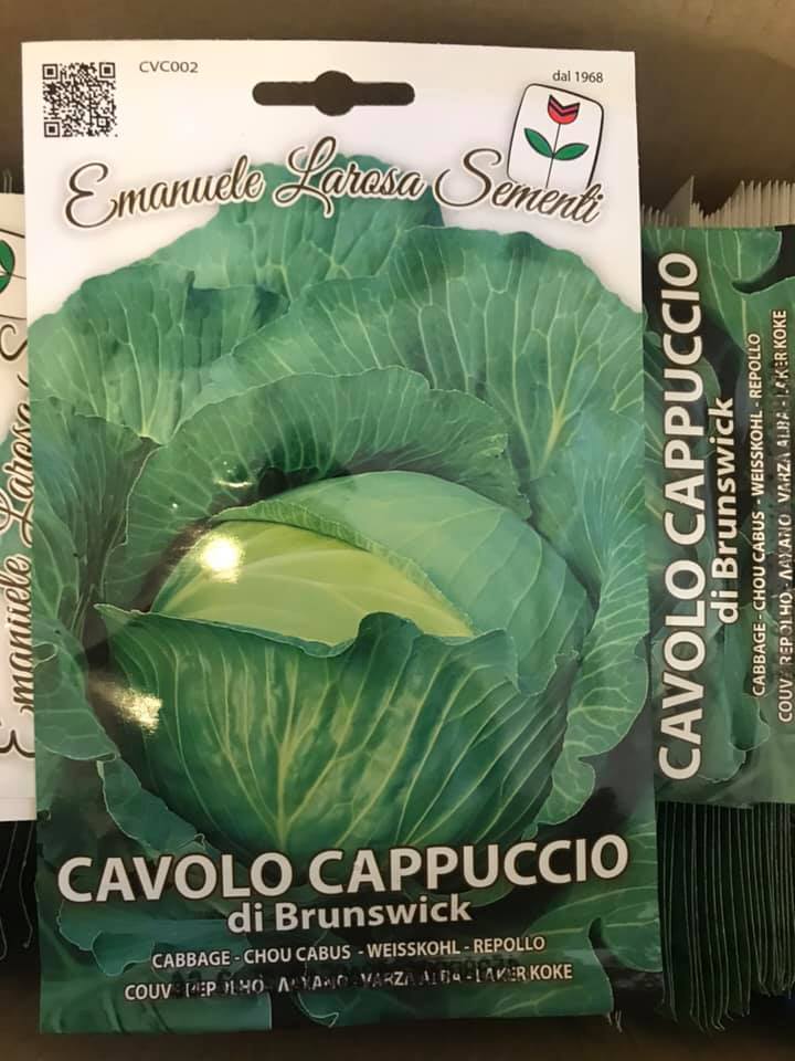vendita online semi CAVOLO CAPPUCCIO DI BRUNSWICK