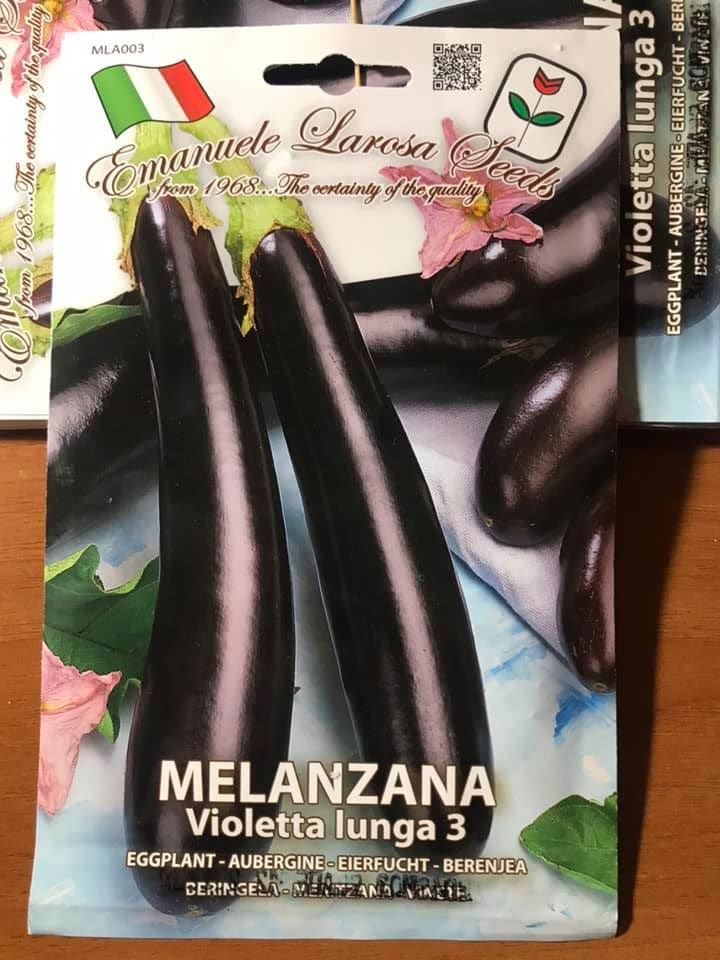 vendita online semi MELANZANA VIOLETTA LUNGA 3