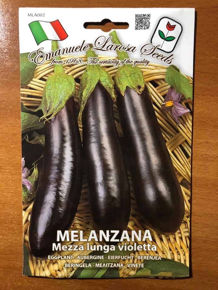 vendita online semi MELANZANA MEZZA LUNGA VIOLETTA