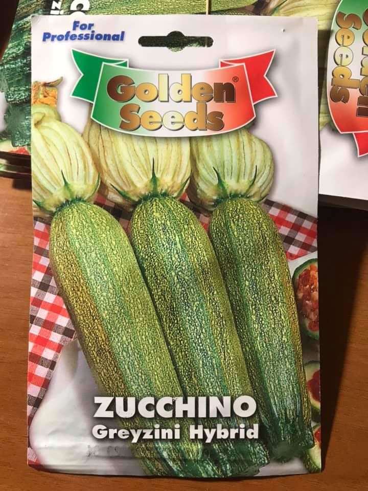 vendita online semi ZUCCHINO GREYZINI HYBRID