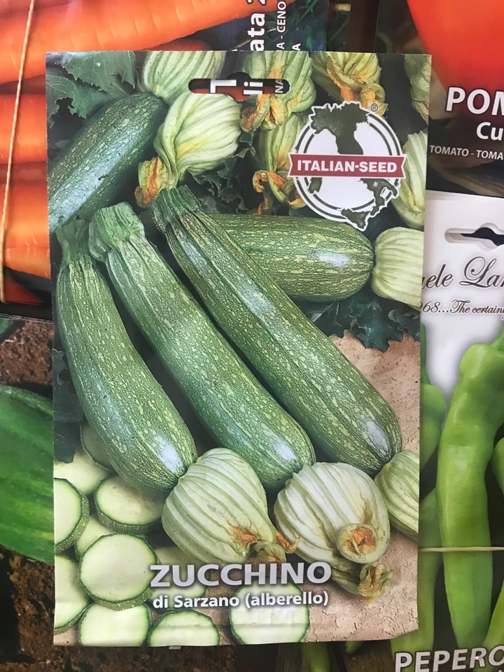 ZUCCHINO ALBERELLO DI SARZANA