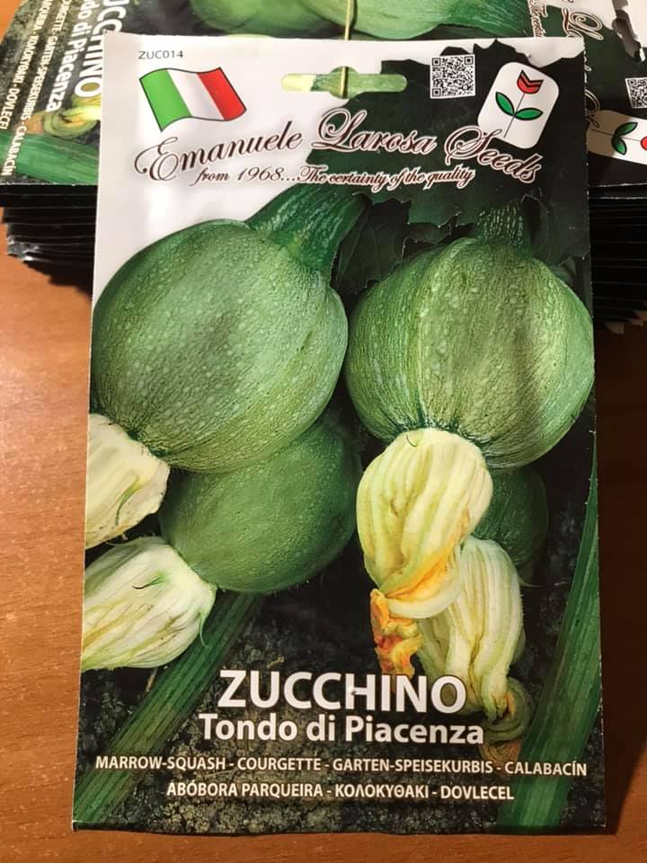 vendita online semi ZUCCHINO TONDO DI PIACENZA