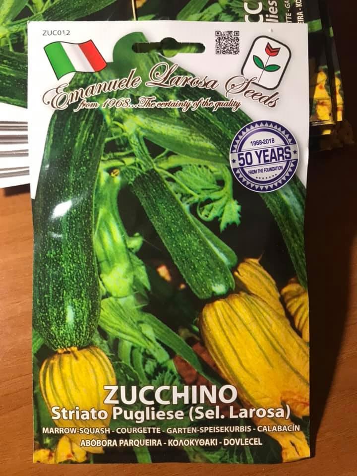 vendita online semi ZUCCHINO STRIATO PUGLIESE
