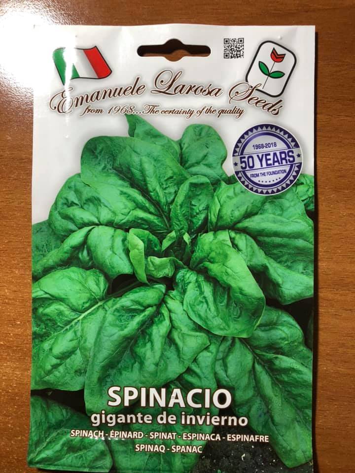 vendita online semi SPINACIO GIGANTE DE INVIERNO