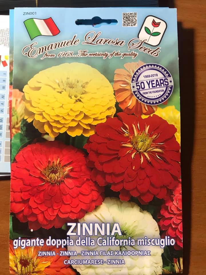 vendita online semi ZINNIA GIGANTE DOPPIA DELLA CALIFORNIA MISCUGLIO