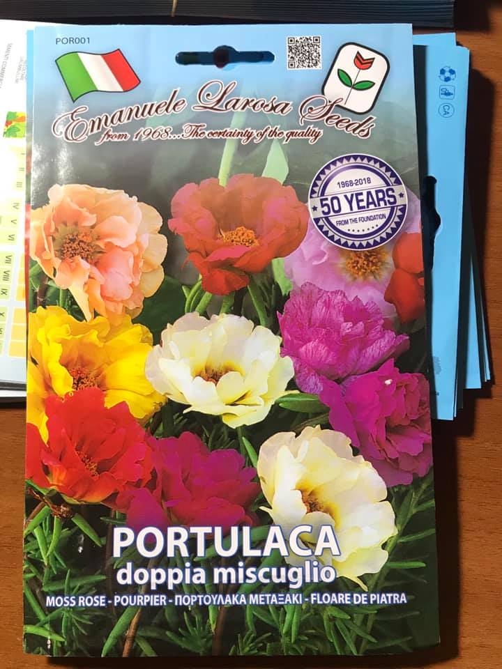 PORTULACA DOPPIA MISCUGLIO