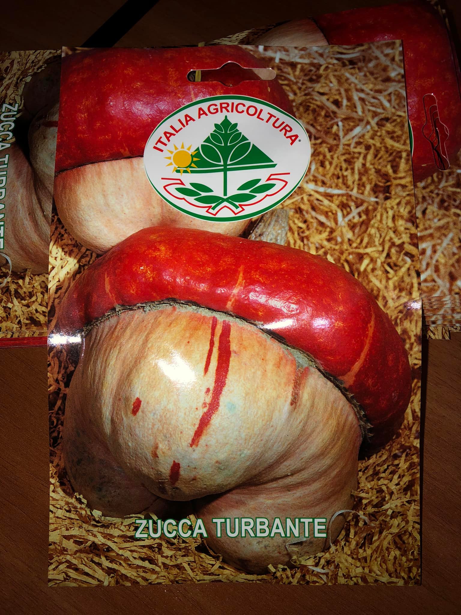 vendita online semi ZUCCA TURBANTE