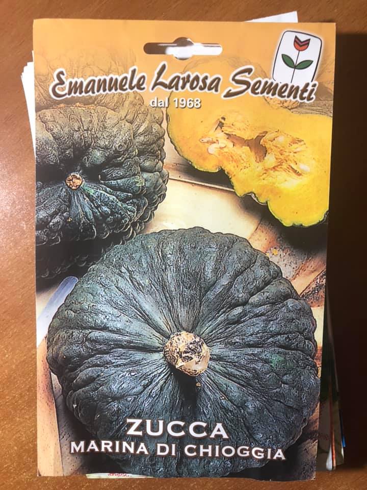 vendita online semi ZUCCA MARINA DI CHIOGGIA