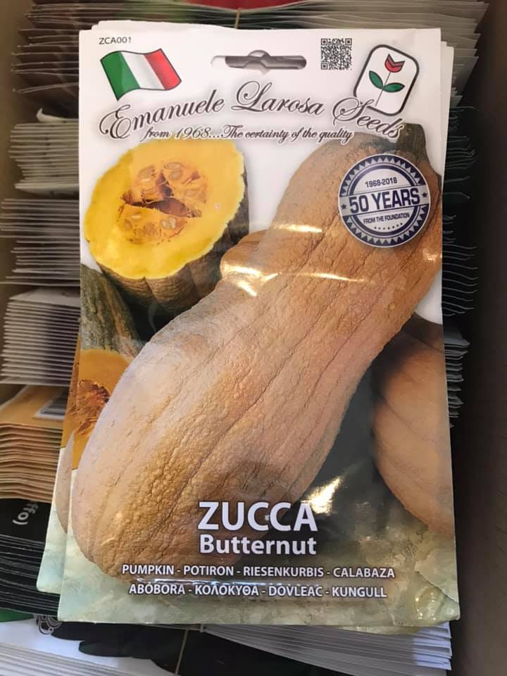 vendita online semi ZUCCA BUTTERNUT