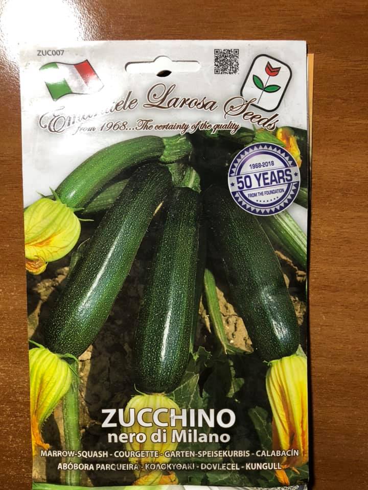 vendita online semi ZUCCHINO NERO DI MILANO