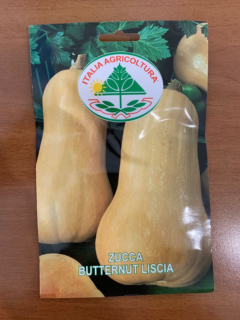 vendita online semi ZUCCHINO BUTTERNUT LISCIA