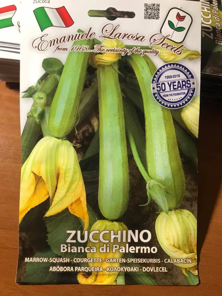 ZUCCHINO BIANCO DI PALERMO