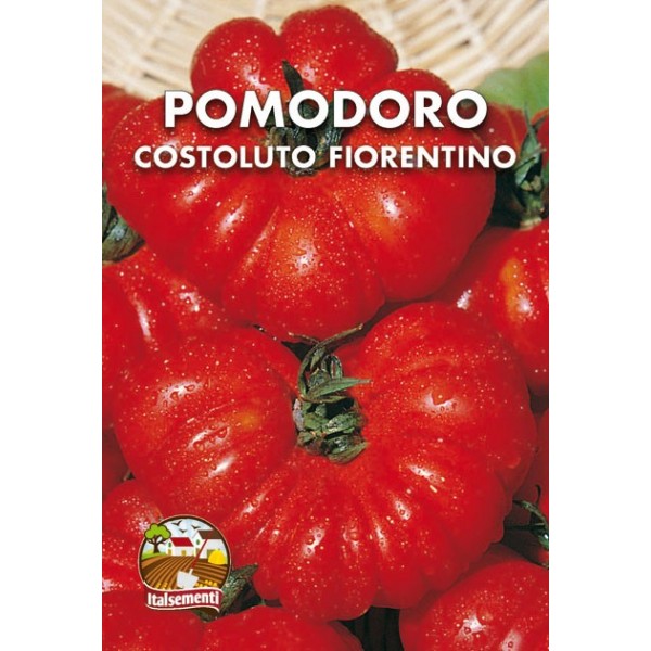 COSTOLUTO FIORENTINO