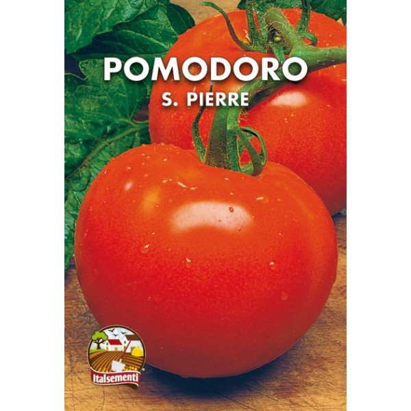 POMODORO SAINT PIERRE