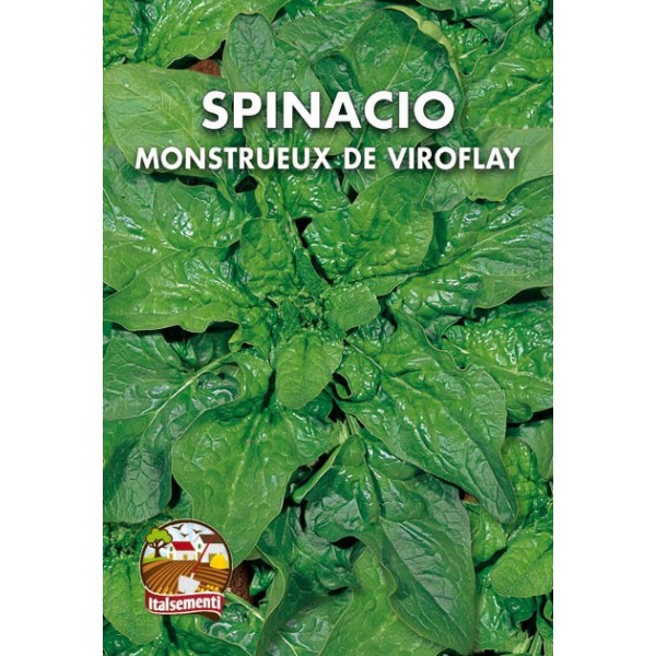 vendita online semi SPINACIO MONSTRUEUX DE VIROFLAY