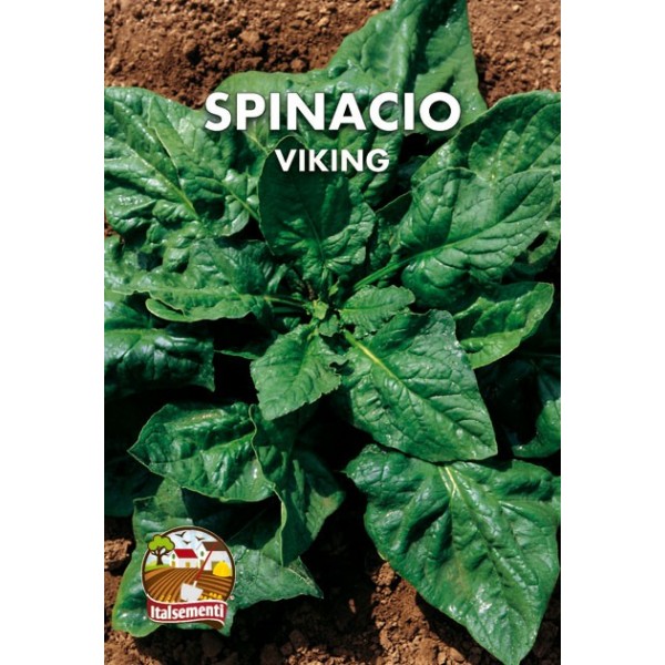 vendita online semi SPINACIO VIKING