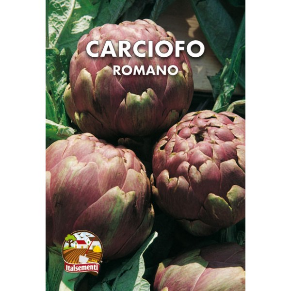 CARCIOFO ROMANO