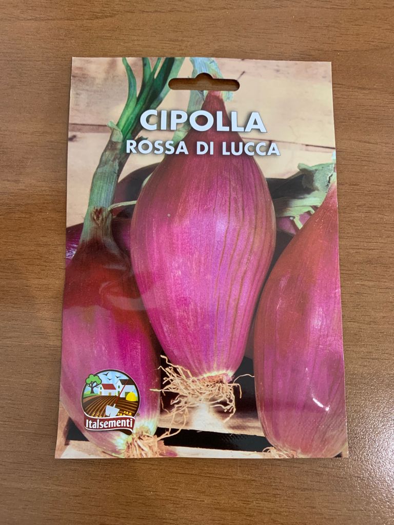 CIPOLLA ROSSA DI LUCCA