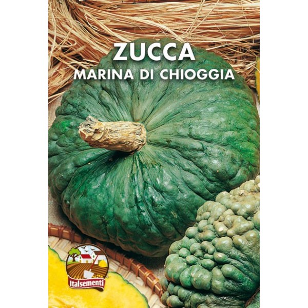 vendita online semi ZUCCA MARINA DI CHIOGGIA  var. IS