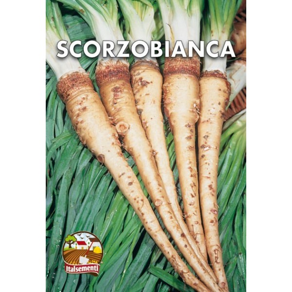 vendita online semi SCORZOBIANCA