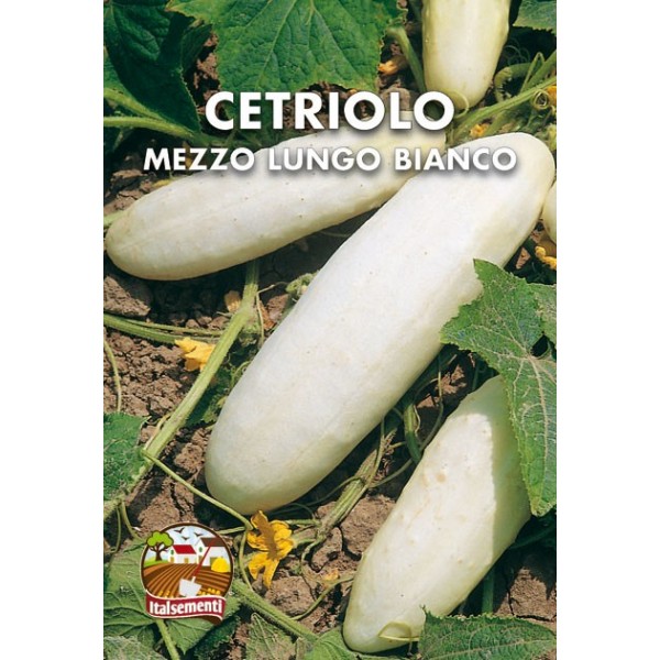 vendita online semi CETRIOLO MEZZO LUNGO BIANCO