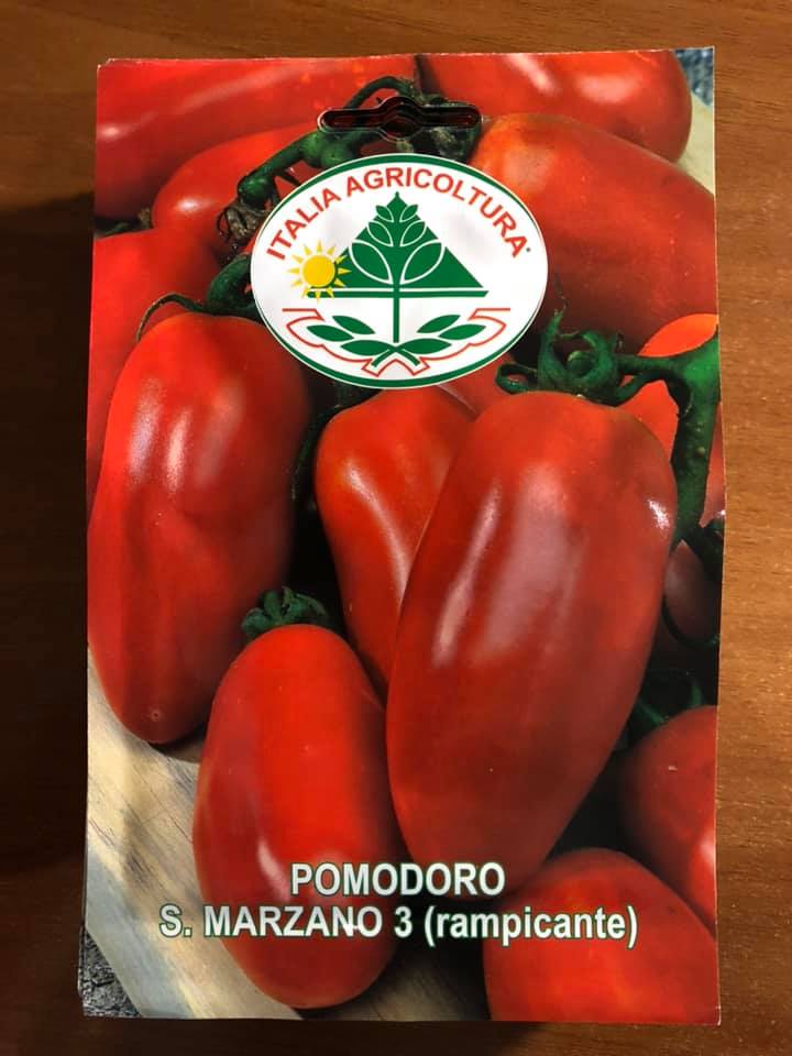 POMODORO SAN MARZANO RAMPICANTE 3