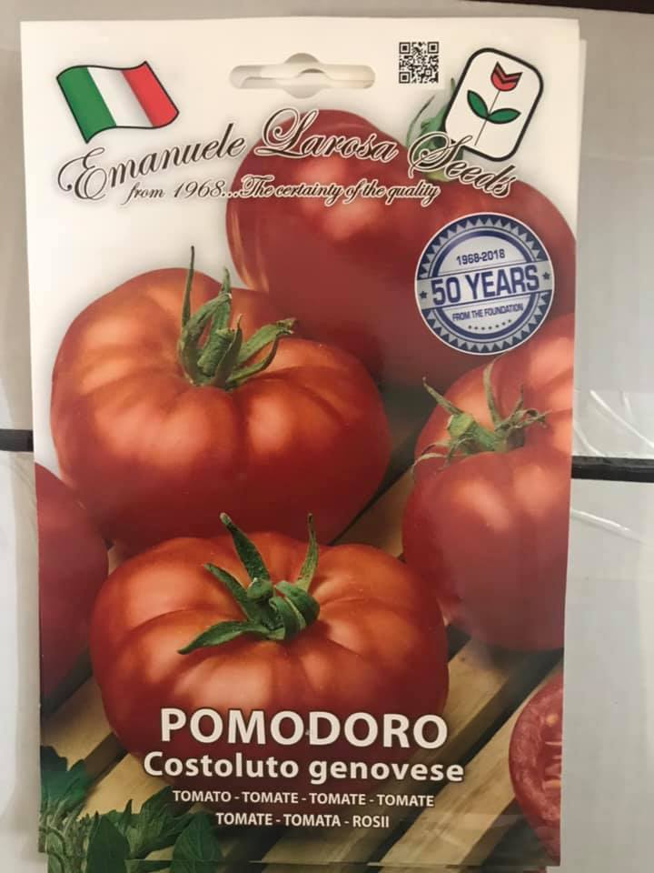 vendita online semi POMODORO COSTOLUTO GENOVESE