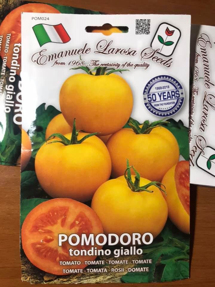POMODORO TONDINO GIALLO