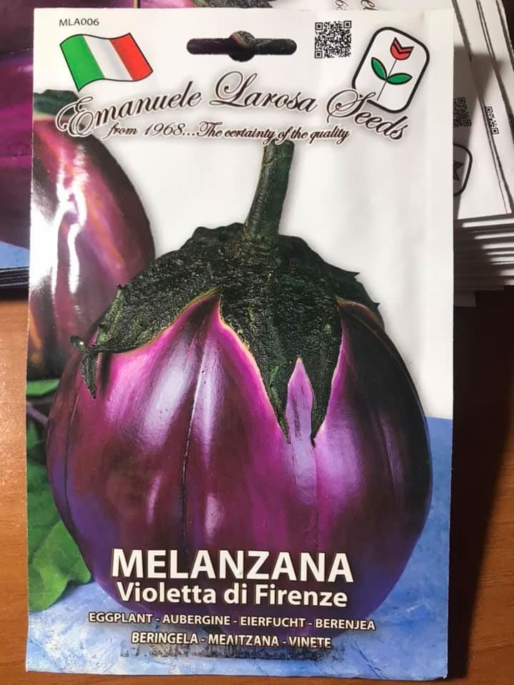 MELANZANA VIOLETTA DI FIRENZE