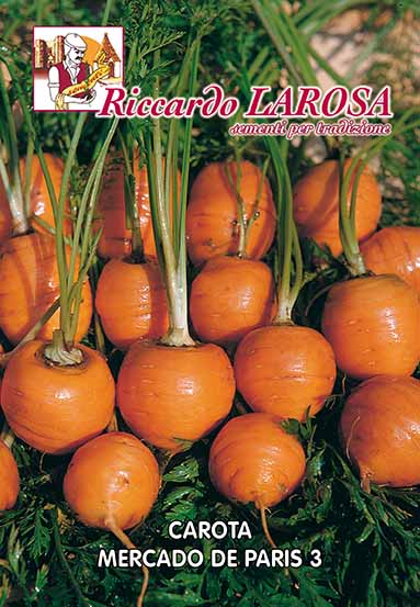 vendita online semi CAROTA MERCADO DE PARIS 3