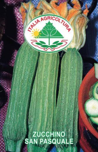 vendita online semi ZUCCHINO SAN PASQUALE