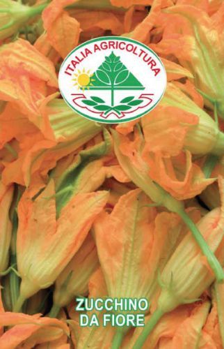 vendita online semi ZUCCHINO DA FIORE