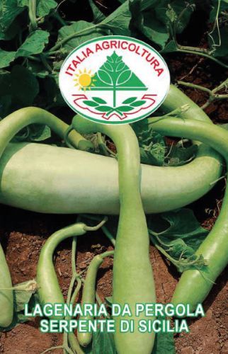 vendita online semi ZUCCA LAGENARIA DA PERGOLA SERPENTE DI SICILIA