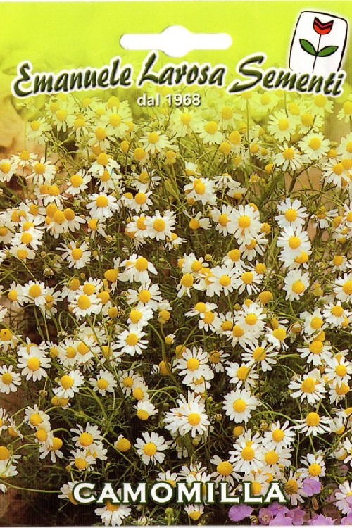 CAMOMILLA